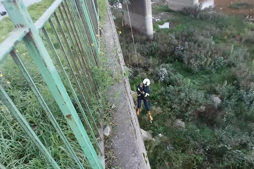 Filyos Çayı’na düşen yavru kedi kurtarıldı