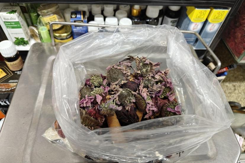 Geçmeyen öksürüğe ‘bitkisel’ karışım