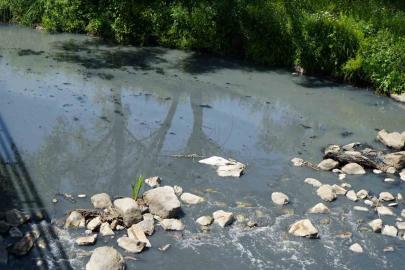 Gerede’de fabrikaların zehrini kustuğu derenin yeniden davası görülecek