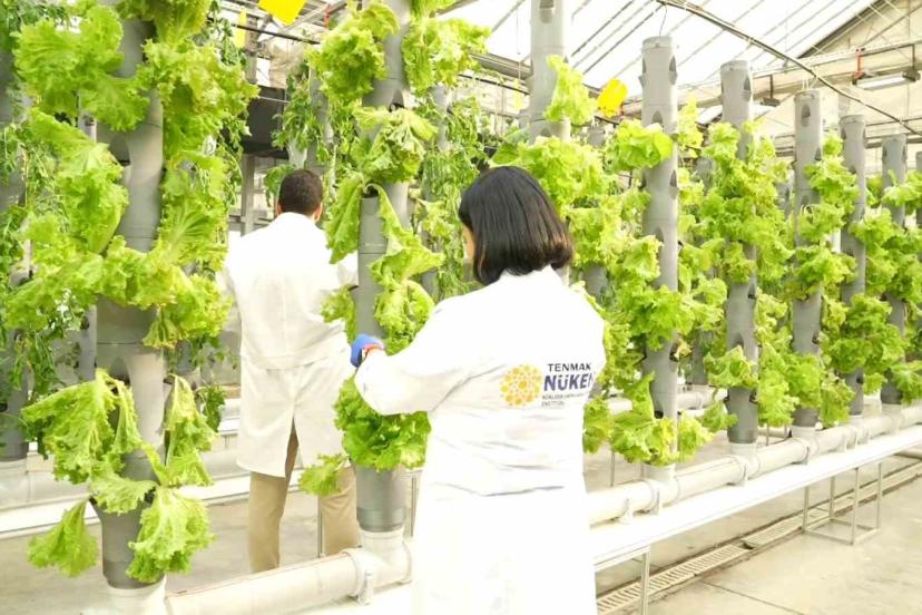 Gıda Güvenliğine ‘TENMAK’ dokunuşu