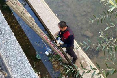 Gümüşhane’de çaya düşen yavru kediyi itfaiye ekipleri kurtardı