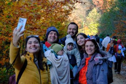 Gümüşhane’nin "Doğal Ağaç Müzesi" ziyaretçi akınına uğruyor