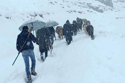Hakkari’de dağda mahsur kalan sürü kurtarıldı