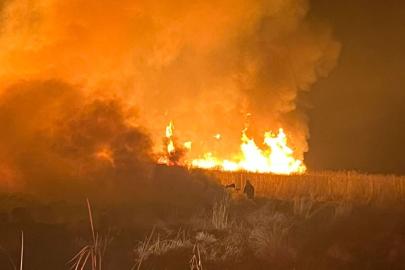 Hakkari’de kuş cennetinde yangın