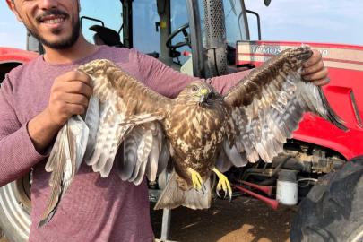 Hasadı bıraktı şahinin yardımına koştu