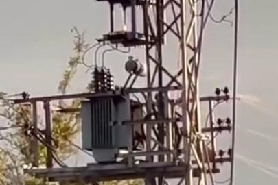 Iğdır’da elektrik trafosunda yangın paniği