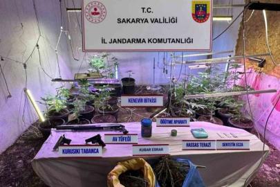 İklimlendirme sistemi ile kapalı ortamda kenevir yetiştiren şahıs tutuklandı