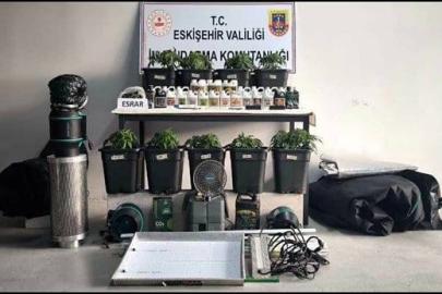 İklimlendirme sistemi kurup kenevir yetiştiren 3 kişi yakalandı