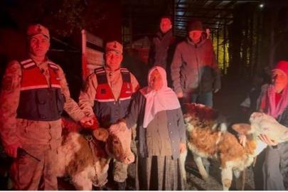 Jandarma çalınan hayvanları sahibine teslim etti