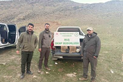 Kafes avcılığı yapan şahıs suçüstü yakalandı: 20 bin TL ceza