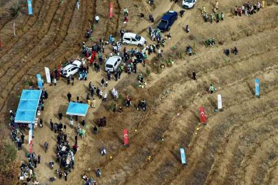 Kahramanmaraş’ta yanan alanlara fidanlar dikildi