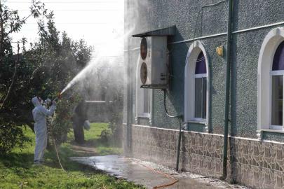 Kahverengi kokarca ile mücadele: 850 hane, 23 kamu alanı ve 623 ahır ilaçlandı
