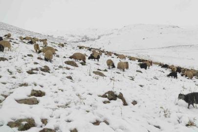 Kar yağdı, koyun sürüsü yaylada kaldı