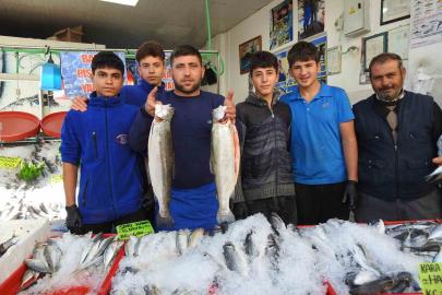 Karadeniz’deki bolluk balık fiyatlarını düşürdü: Kilis’te hamsi 100 liraya indi