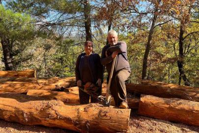 Karı-koca 35 yıldır  ormanlarda damgalanan ağaçları kesiyorlar