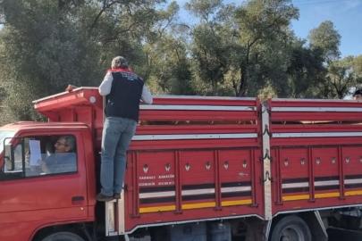 Karpuzlu’da hayvan sevkiyatına denetim