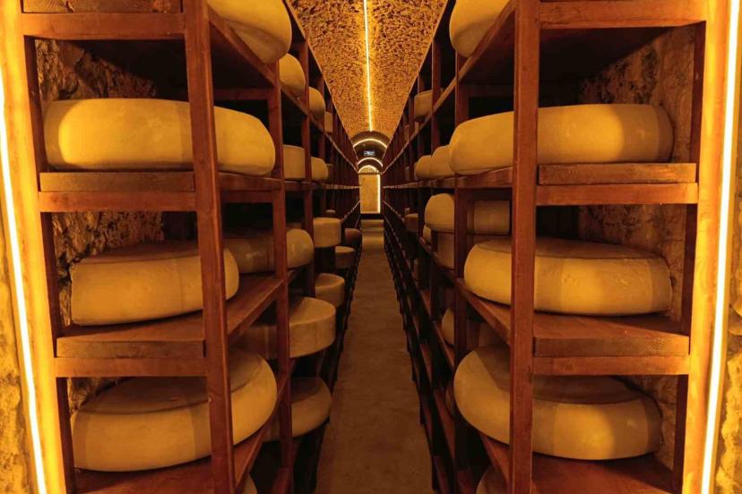 Kars Peynir Müzesi yoğun ilgi görüyor