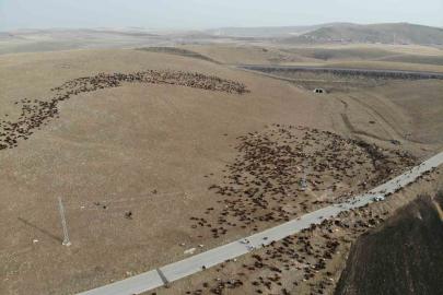 Kars’ta göçerlerin zoru yolculuğu başladı