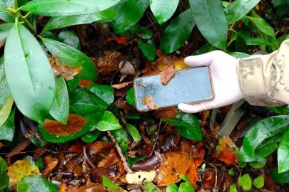 Kastamonu’da dere yatağında ölü bulunan anneye ait cep telefonu da bulundu