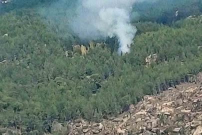 Kavaklıdere’de orman yangını