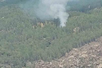 Kavaklıdere’deki orman yangını kontrol altına alındı