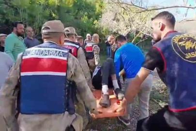 Kaybolan görme engelli yaşlı adamı jandarma zeytinlikte buldu