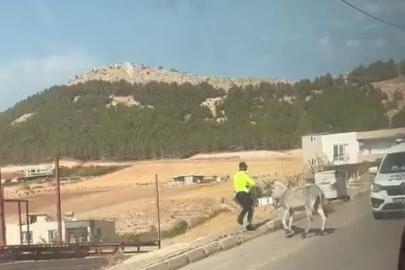 Kazaya davetiye çıkaran eşeğe polis müdahale etti