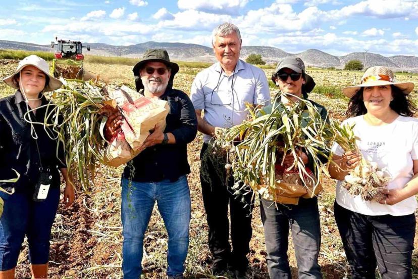 KBÜ, sarımsakta Fusarium hastalıklarına karşı bilimsel çözüm geliştirdi