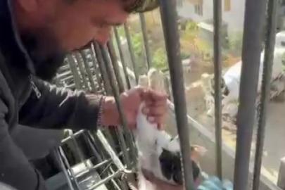 Kedi, dökülen betonun altında kalmaktan son anda kurtarıldı