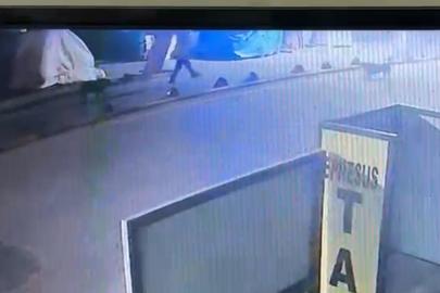 Kendisine saldıran sokak köpeğini vuran emekli astsubay serbest bırakıldı