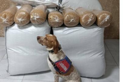 Kırşehir’de yolcu otobüsünde 400 kilogram kaçak tütün ele geçirildi