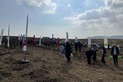 Konya’da 33 bin 811 fidan toprakla buluştu