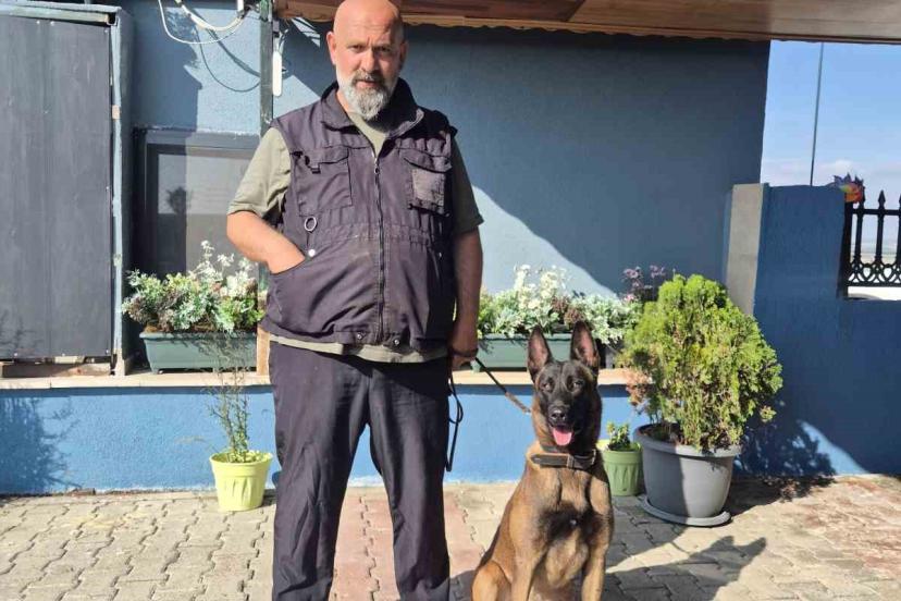 Köpek eğitmeni Eren Ay: "Köpekler kötü değildir, kötü eğitim vardır"