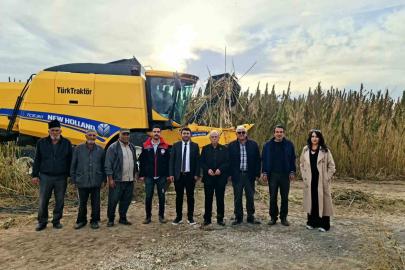 Kulu’da endüstriyel kenevirin hasadı başladı