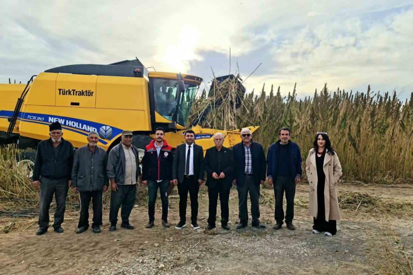 Kulu’da endüstriyel kenevirin hasadı başladı