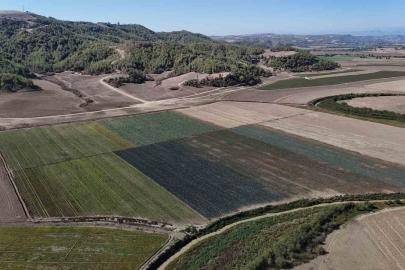 Kuraklığın vurduğu Seyhan Baraj Gölü’nün çevresi tarım arazisi oldu üretim başladı
