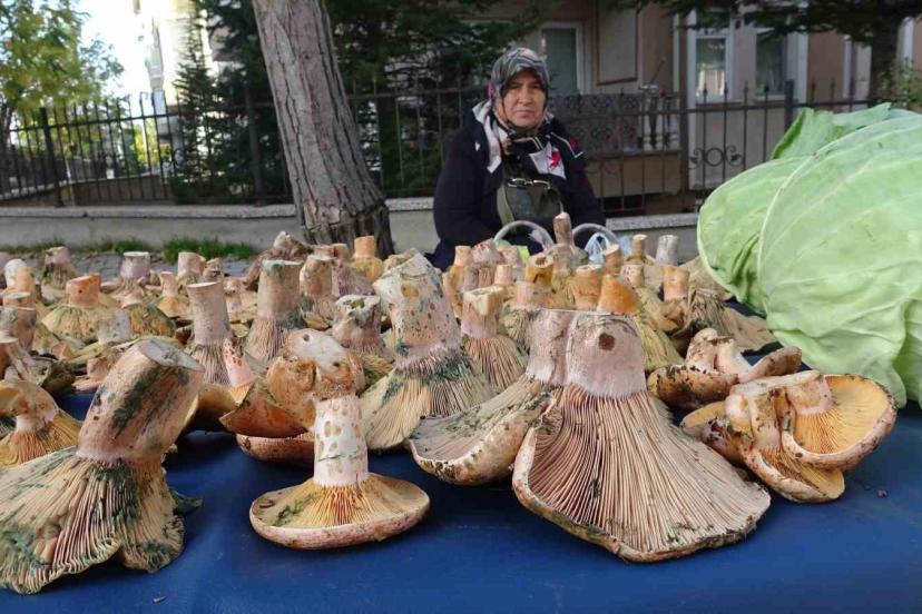 Kütahya’da ’Melki’ bereketi