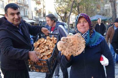 Kütahya’da melki mantarı çoğaldı, fiyatlar düştü