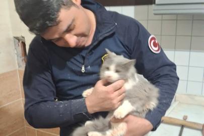 Malatya’da havalandırma boşluğuna düşen kedi kurtarıldı