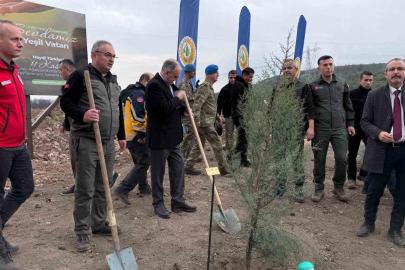 Manisa’da 2025 sonuna kadar 3,1 milyon fidan toprakla buluşacak