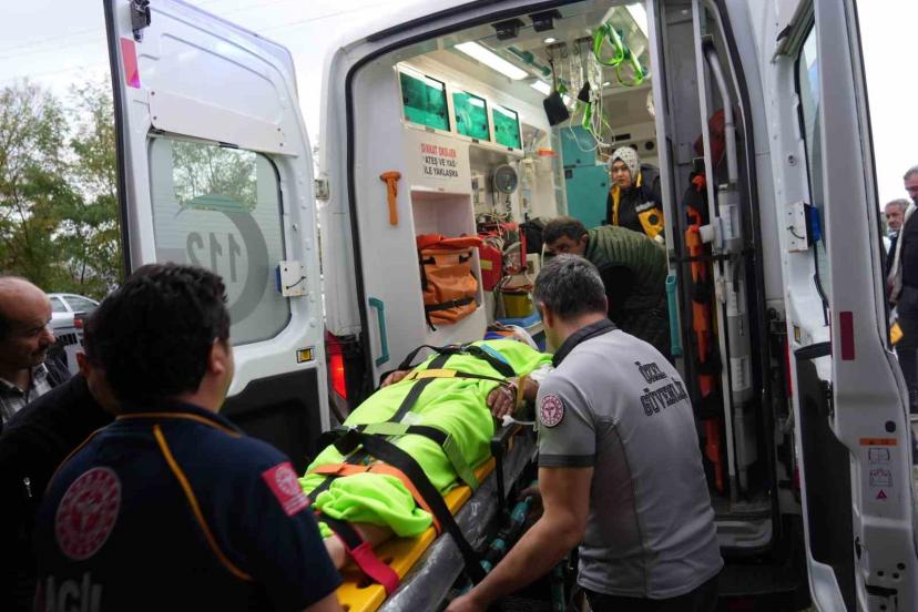 Mantar toplarken ayının saldırısına uğrayan imam yaralandı