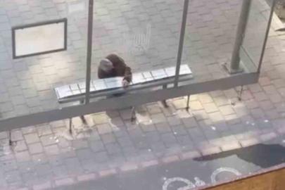 Mardin’de duyarlı vatandaş, yolcular üşümesin diye durağın oturma yerlerini halıyla kapladı