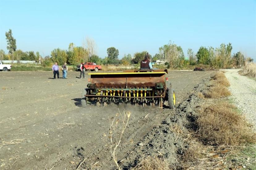 Mera alanları işgalden kurtarılıyor