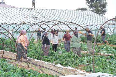 Mersin’de fırtına ve hortum seralara zarar verdi