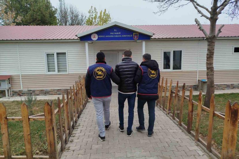 Muş’ta dolandırıcılık suçundan aranan hükümlü yakalandı