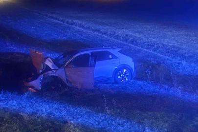 Muş’ta otomobil yola çıkan ineğe çarptı