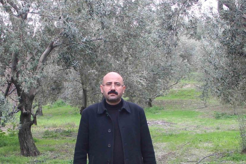 Mut’da bu yıl 120 bin ton zeytin rekoltesi bekleniyor