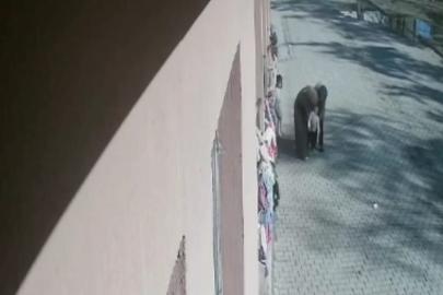 Öğrencisinin boğazına kaçan şekeri heimlich manevrasıyla çıkardı