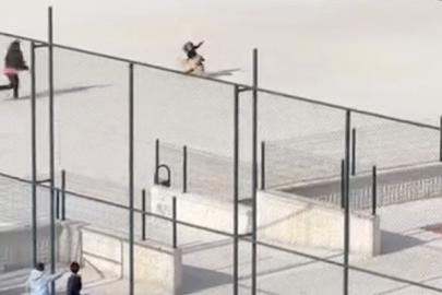 Okul bahçesine giren köpek çocuklara büyük panik yaşattı: O anlar kameraya yansıdı