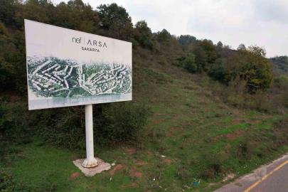 Ormana tabela asıp milyonlar topladılar